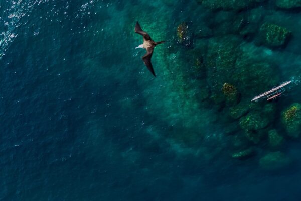 LIFE IS A HULI (553)