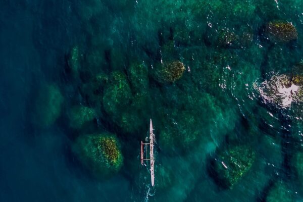 LIFE IS A HULI (554)