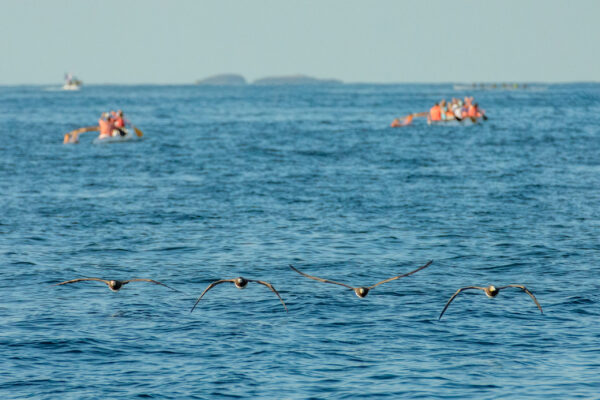 LifeIsAHuli_2025_02_22_@liviagass_3114